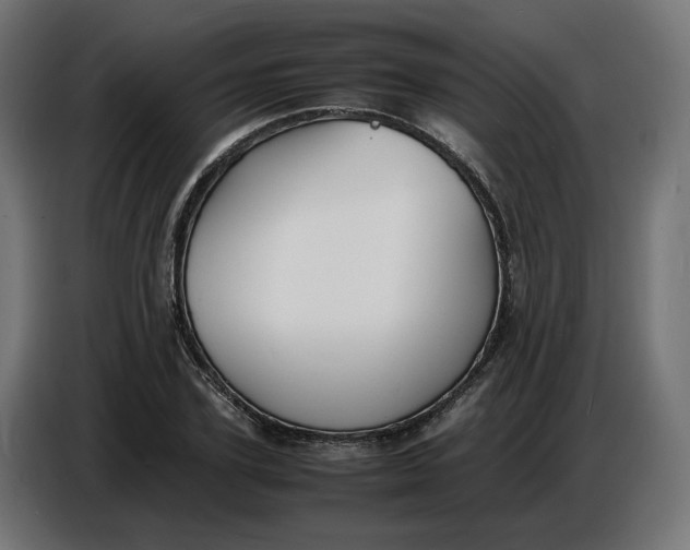 X0000086720931200705041325