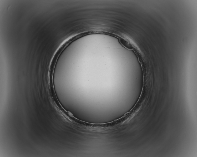 X0000086720932200705041325