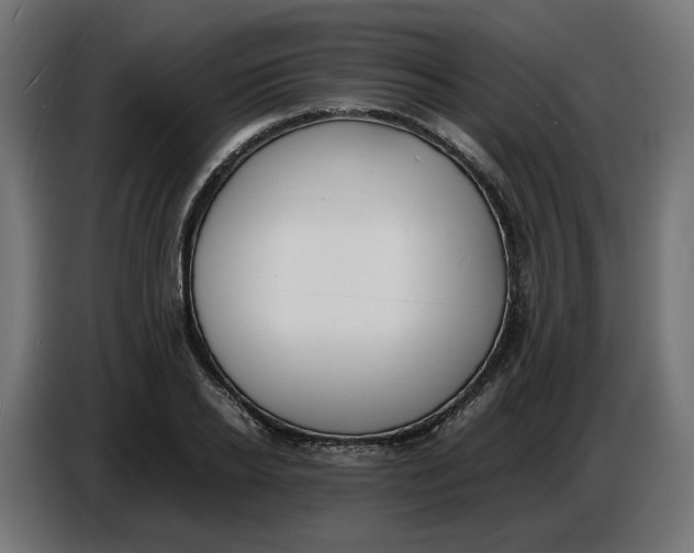 X0000086720934200705041325