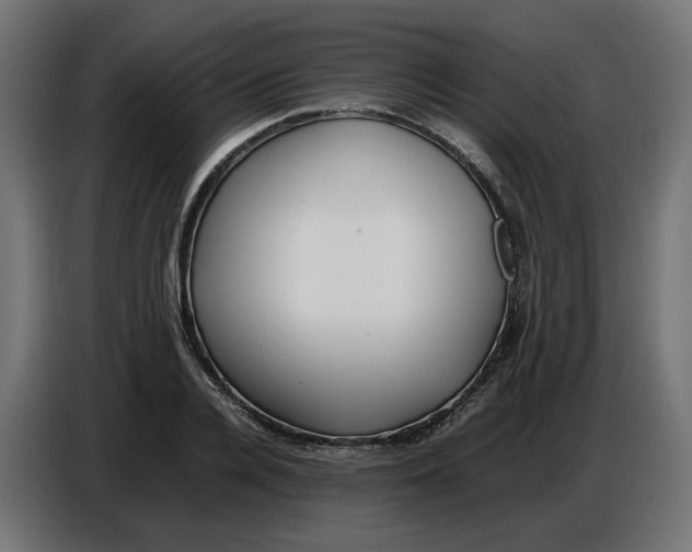 X0000086720936200705041325