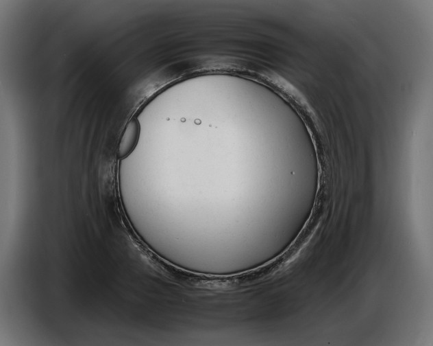 X0000086720937200705041325