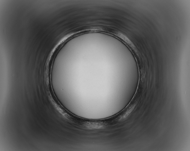 X0000086720939200705041325