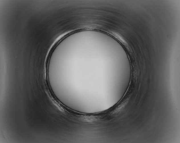 X0000086720940200705041325