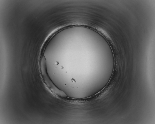 X0000086720942200705041325