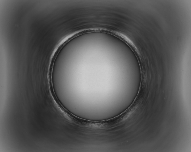 X0000086720943200705041325