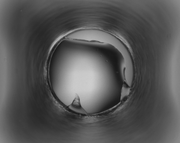 X0000086720944200705041325