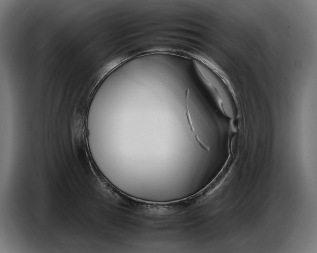 X0000086720945200705041325