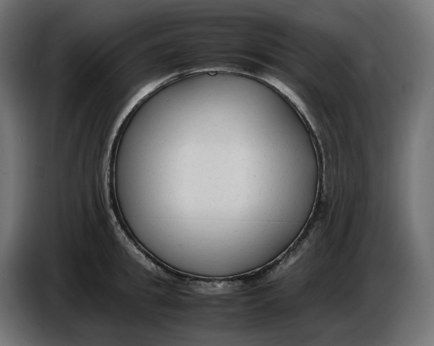 X0000086720949200705041325