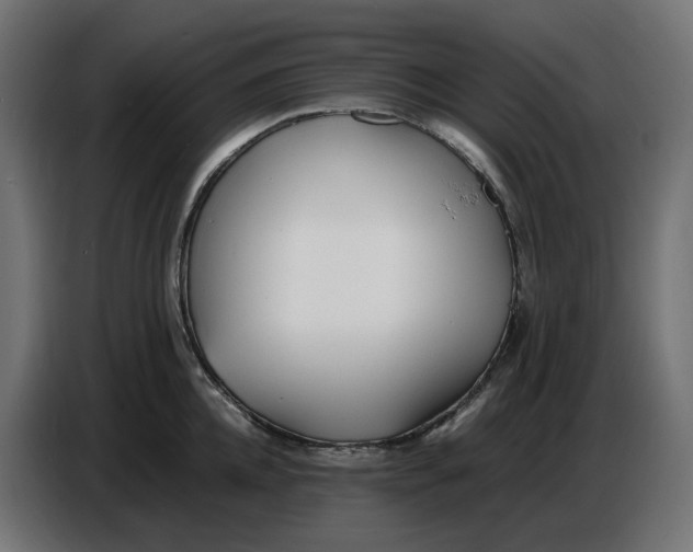 X0000086720952200705041325