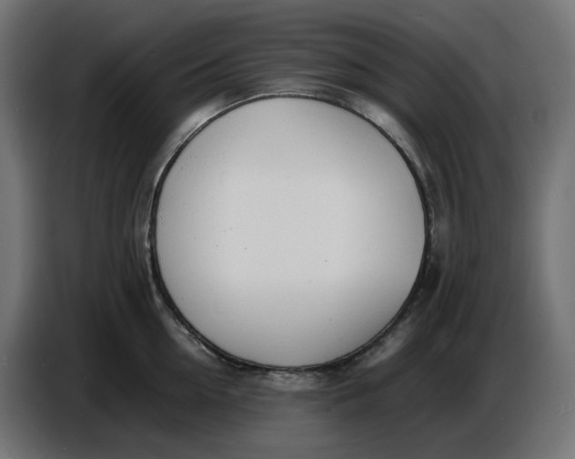 X0000086720954200705041325