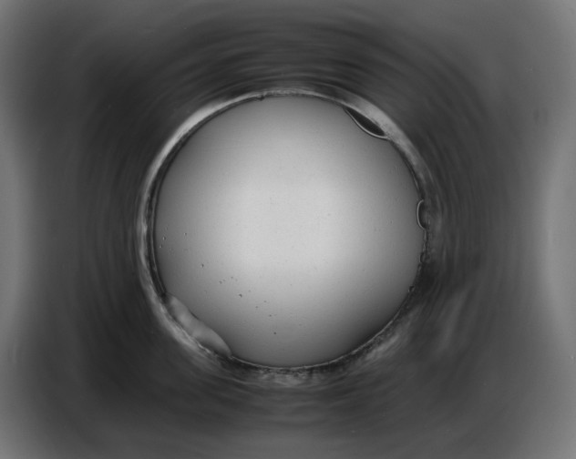 X0000086720955200705041325