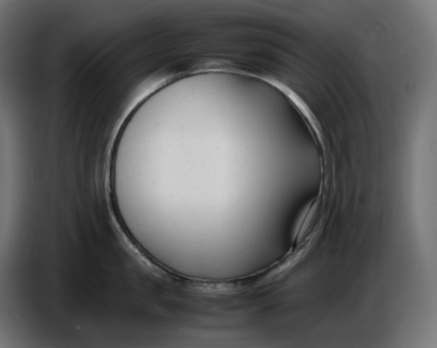 X0000086720957200705041325