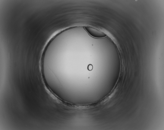 X0000086720958200705041325