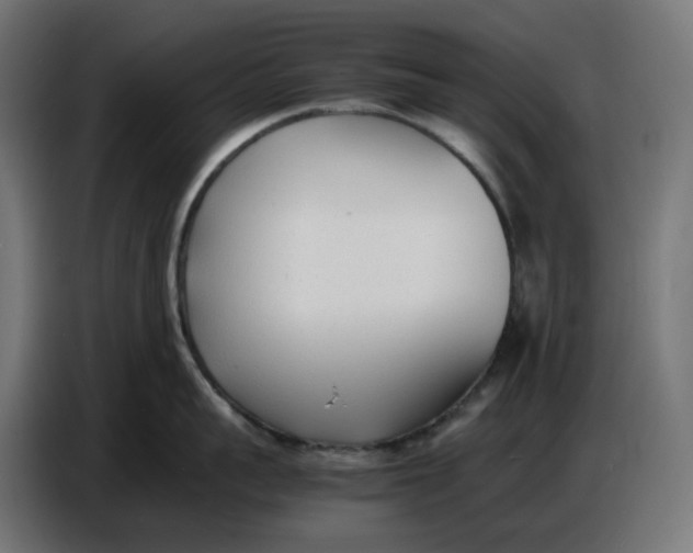 X0000086720959200705041325