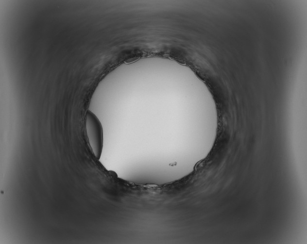 X0000086720961200705041324
