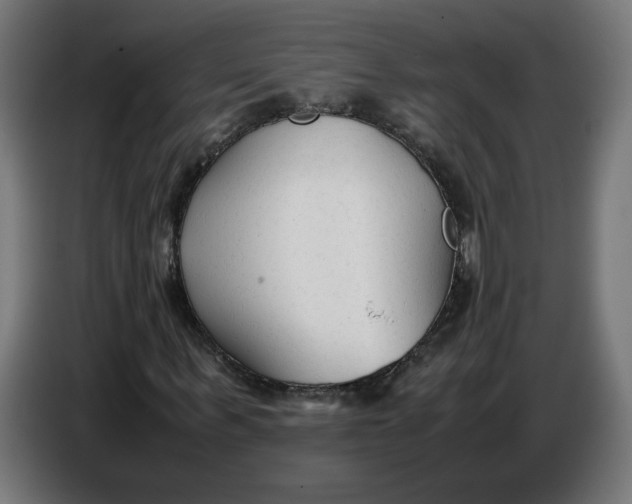 X0000086720963200705041324