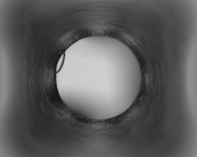 X0000086720964200705041324