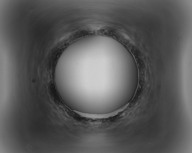 X0000086720965200705041324
