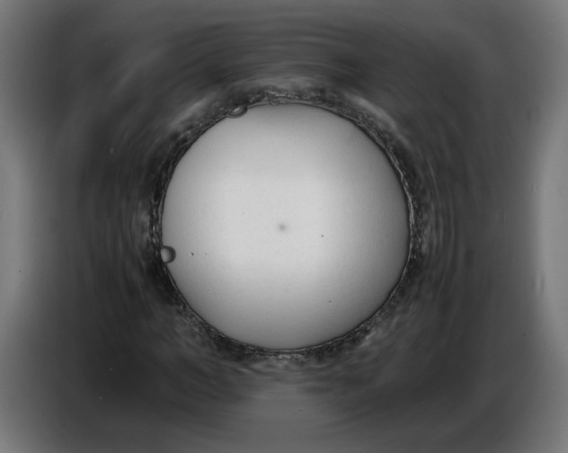X0000086720966200705041324