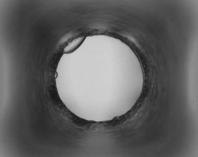 X0000086720967200705041324