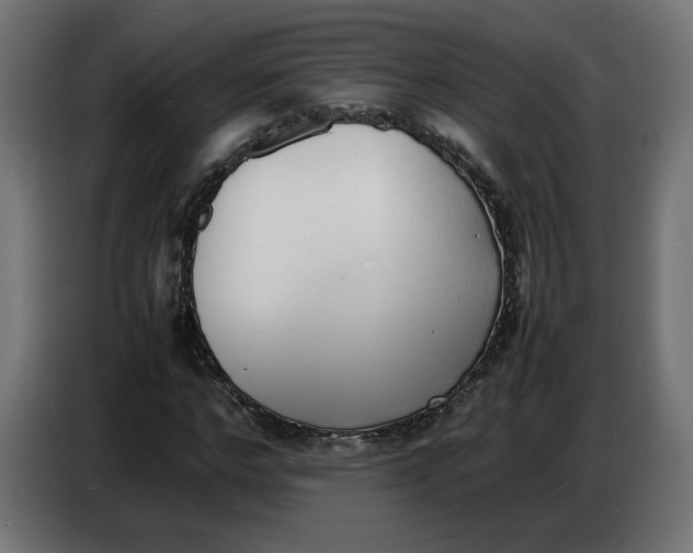 X0000086720968200705041324