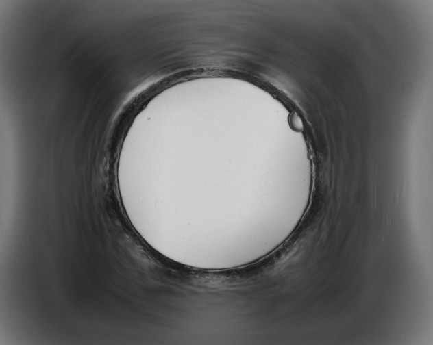 X0000086720971200705041324