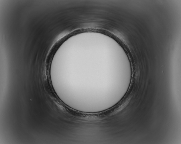 X0000086720974200705041324