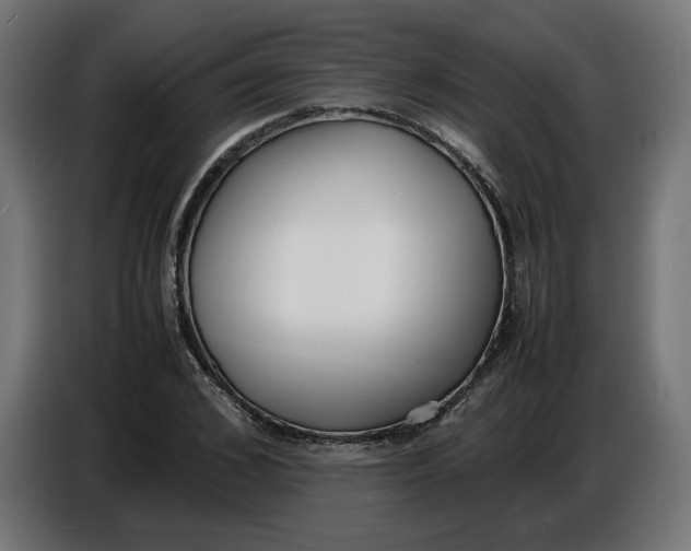 X0000086720976200705041324