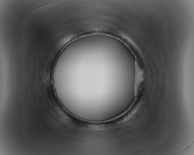 X0000086720977200705041324