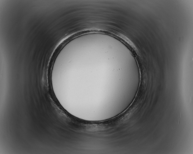 X0000086720980200705041324