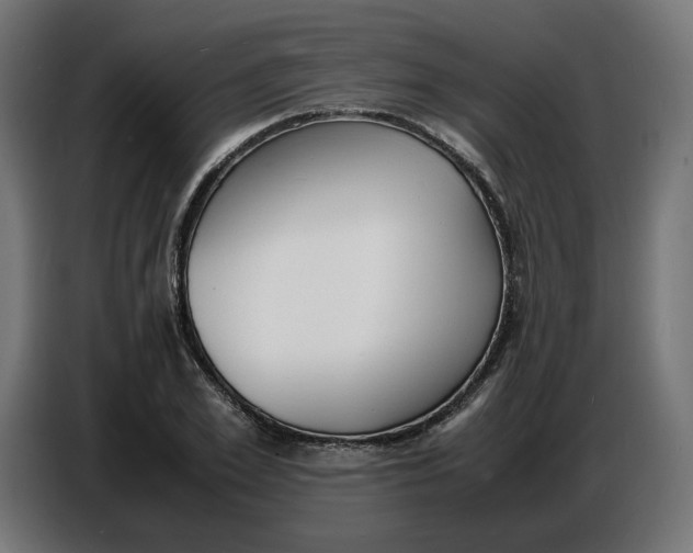 X0000086720981200705041324