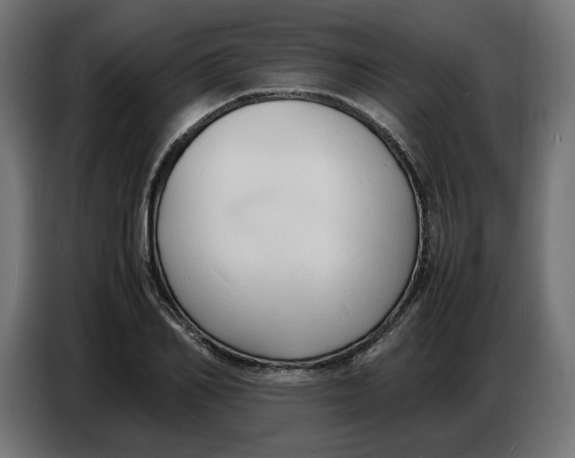 X0000086720982200705041324