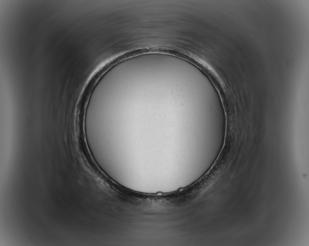X0000086720983200705041324