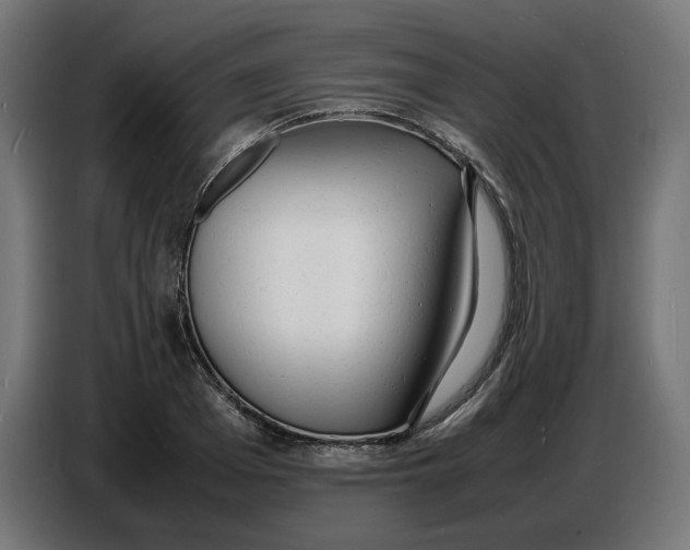 X0000086720985200705041324