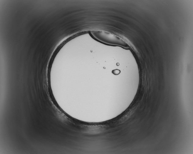 X0000086720988200705041324