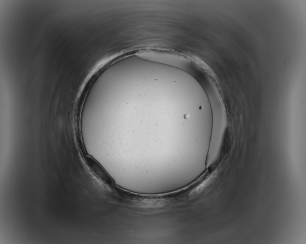X0000086720989200705041324