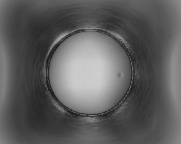X0000086720990200705041324