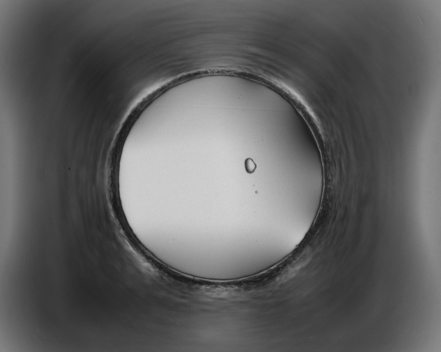 X0000086720991200705041324