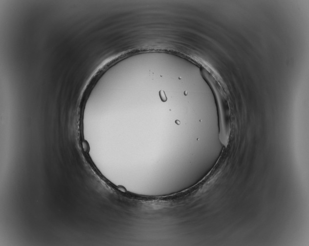 X0000086720992200705041324