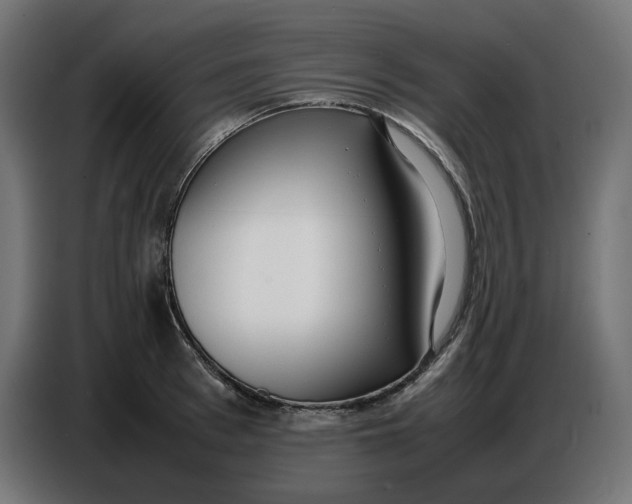X0000086720993200705041324