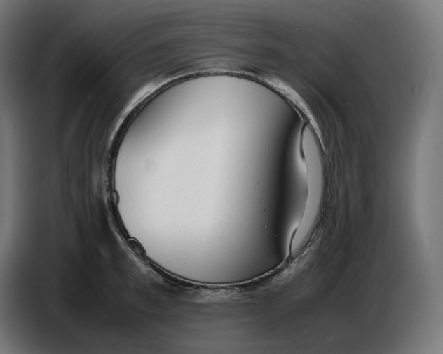 X0000086720997200705041324