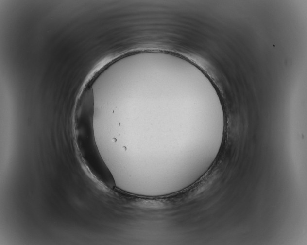 X0000086720998200705041324