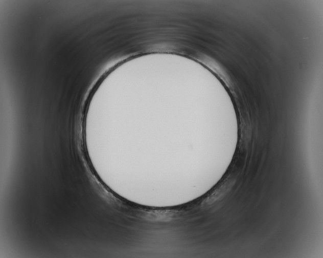 X0000086721000200705041324