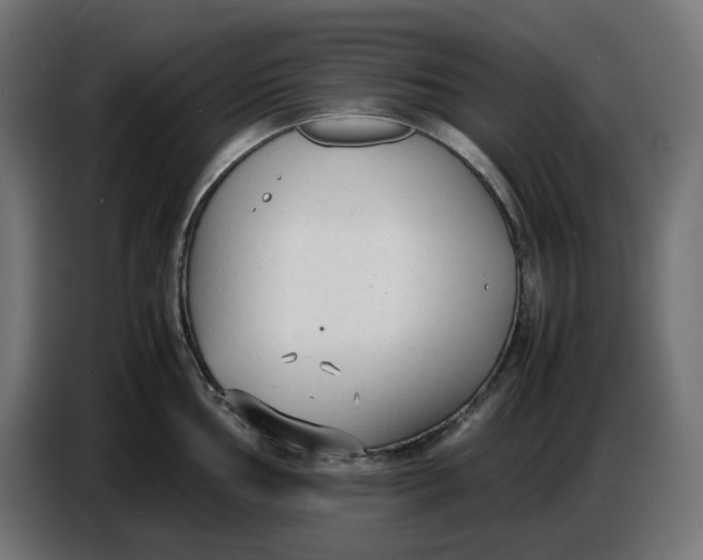 X0000086721002200705041324