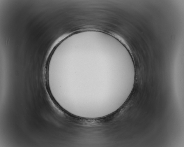 X0000086721003200705041324