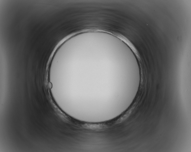 X0000086721004200705041324