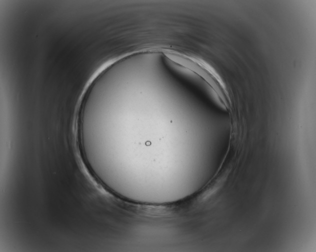 X0000086721007200705041324