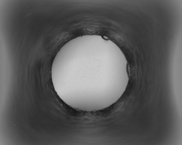X0000086721009200705041323