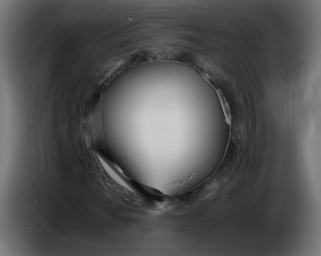 X0000086721010200705041323