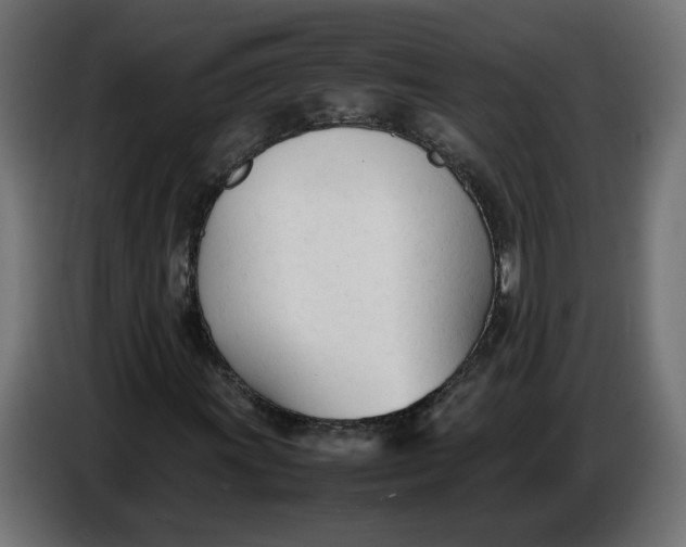 X0000086721011200705041323